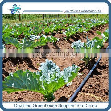 Greenhouse Drip Irrigation for Vegetables Quality Choice photo-2