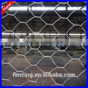 Anping Galvanized hexagonal wire netting