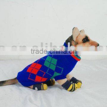 dog clothes