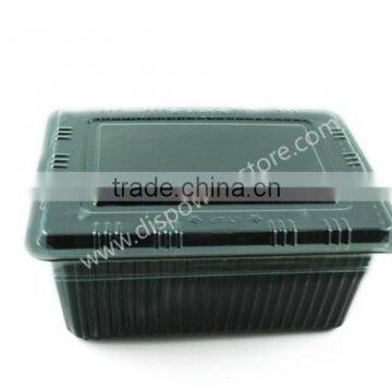 Disposable Food Container photo-5