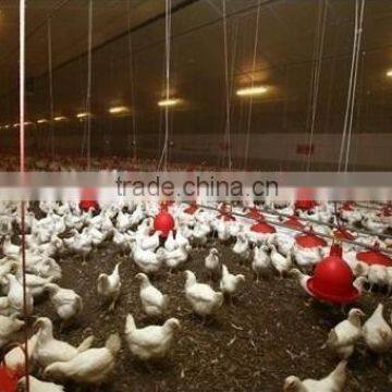 Automatic poultry farm house for broilers