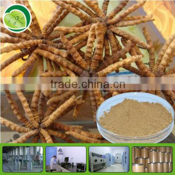 polysaccharide/cordyceps sinensis mycelium extract