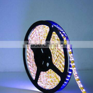 Newest smd 3528 led strip DC12V programmable rgb led strip 50m