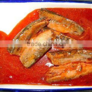 Canned Mackerel Fish in Tomato Sauce photo-2