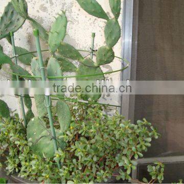 Flower Sticks photo-2