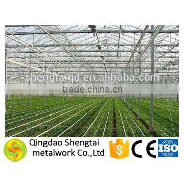 Commercial Greenhouse for agriculture