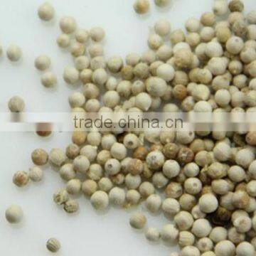 China Spicy White Pepper