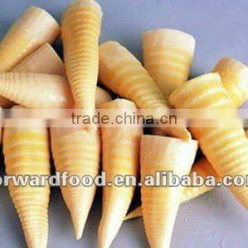 canned bamboo shoots tips products