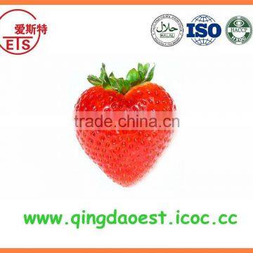 For Sale Chinese High Quality Fresh Strawberry photo-2
