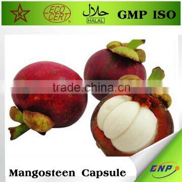 GMP ISO Cheap Mangosteen Capsules Price photo-2