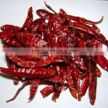 BEST QUALITY SPICY CHILI