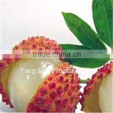 Canned Lychee Bottom Price supplier