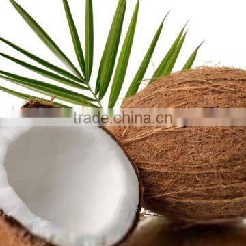 Coconut extract