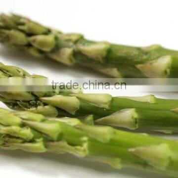 Frozen Asparagus, IQF Asparagus photo-4