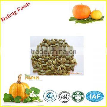 Supply Green World Health Products Pumpkin Kernels photo-6