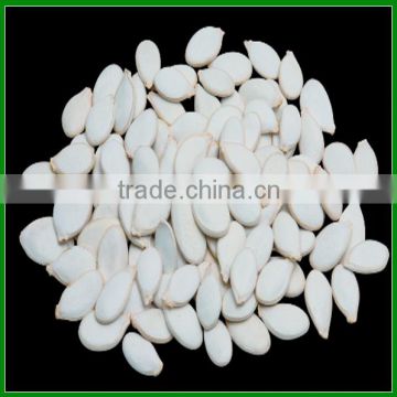 2015 China New Crop Snow White Pumpkin Seed in Shell Hot Sale