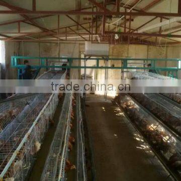 Cameroon best selling battery chicken cage for 120 chickens