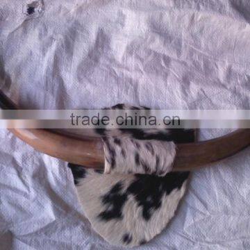 Pair Horn