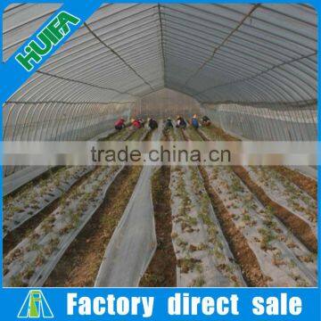 Large Size Greenhouse Plastic Film,Solar Agricultural Greenhouses Type photo-4