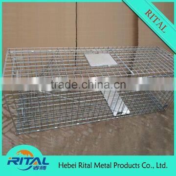 Heavty Duty Feral Cat Trap Cage,Squirrel Trap Cage,Galvanized Rabbit Cage Trap