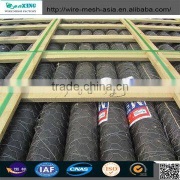 13mm galvanzied hexagonall wire netting