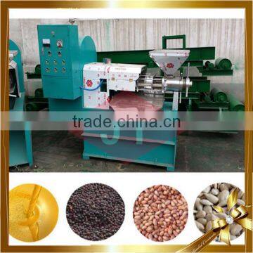 Canada Rapeseeds Oil Expeller Oil Pressing Machine Mill Choice Save Room photo-6
