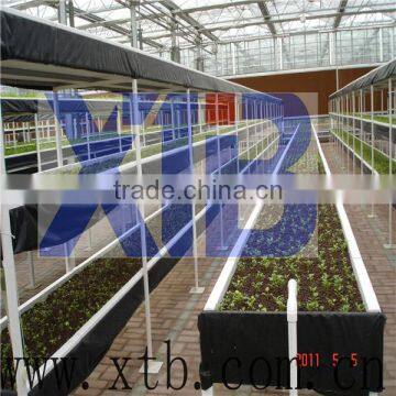 Greenhouse for Flower Cultivation