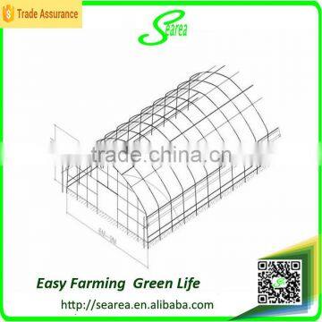 Single Span Film Green Houses for Agriculture
