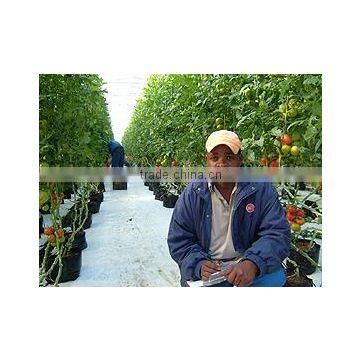 Silage Cover(green/black, Green/yellow Color Silo Sheeting) photo-6
