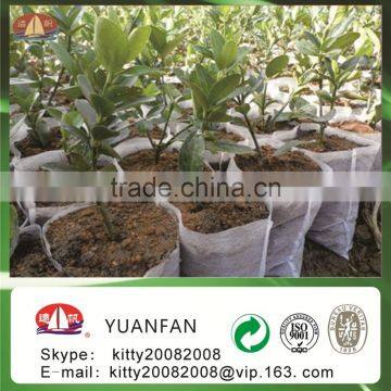 100% pp Spunbond Non Woven Fabric for Weed Control, Agriculture Cover photo-2