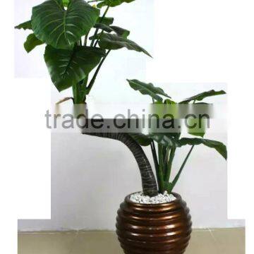 SJ0301115 Ornamental landscaping aquarium plants garden decorative green plants