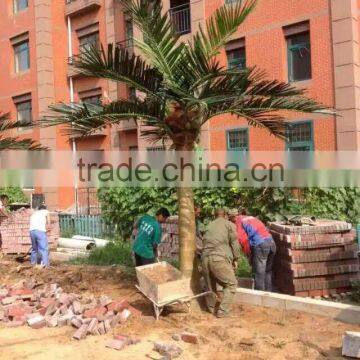 Artificial Palm Tree for Decoration China Fake Garden Fiberglass Tree Decor photo-5