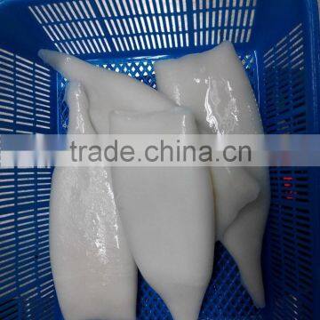 Wholesale Frozen Seafood Squid Tube photo-4