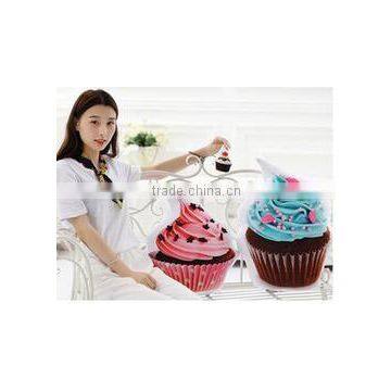2017 Fashion Design Food Simulation Pillow,food Shaped Bolster photo-6