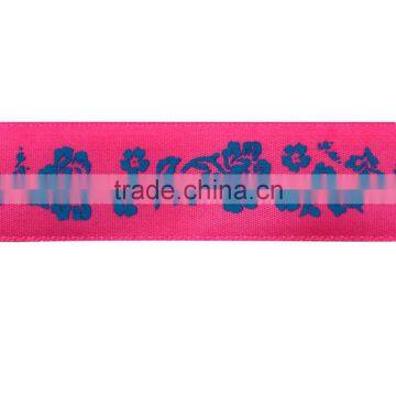 Colorful Webbing