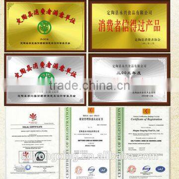 Non-aluminum Baking Powder Manufacturer photo-2