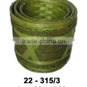 Green Bamboo Planter