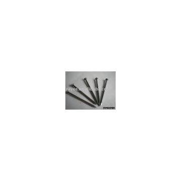 common nail