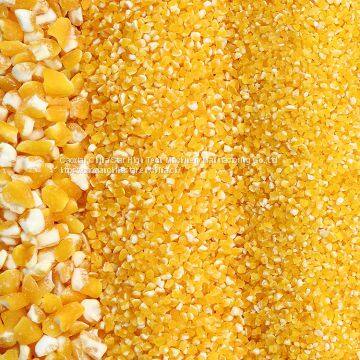 Multipurpose Corn Grain Mill Plant Mini Home Mazie Grits Making Machine Mais Crusher Barley Peeling Machine Moter-driven Corn Sheller photo-3