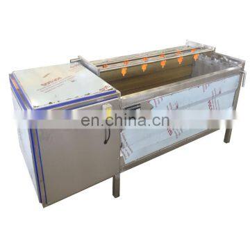 Industrial Soft and Hard Brush Fruit Peeling Washing Machine