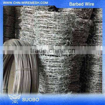 Factory Direct Sale Barbed Wire Fence Design Fake Barbed Wire Barbed Wire Burglar