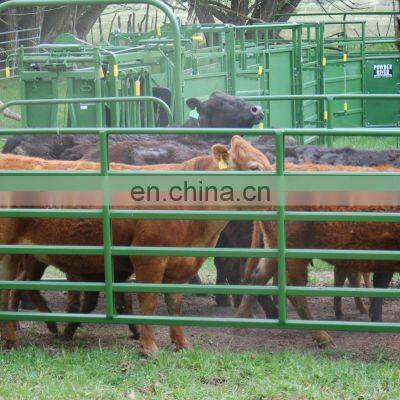 Wholesale Powder Coated Farm Horse Fence photo-4