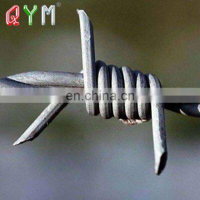 Razor Wire Fence Price Meter Barbed Wire In Egypt photo-2