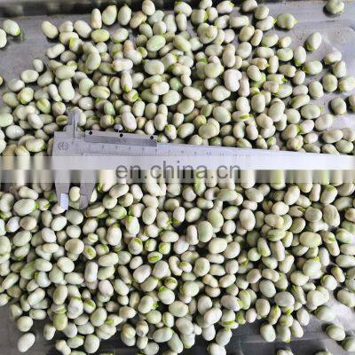 Sinocharm Frozen Vegetable Fresh and Insect Free Certified China Frozen Broad Bean photo-4