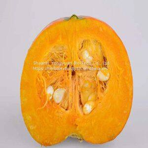 Pumpkin powder, Pumpkin Powder Extract, Pumpkin fruit powder, Chinese manufacturer