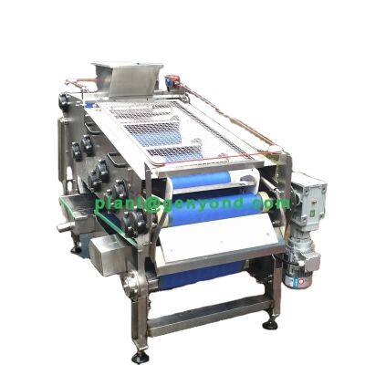 Espremedor de Cinturão para Maçã, Abacaxi, Cana - de - Açúcar, Laranja6