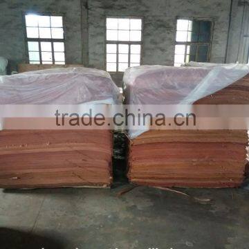 Rotary Natural Bintangor /PLB/okume/ Gurjanface Veneer With Good Color