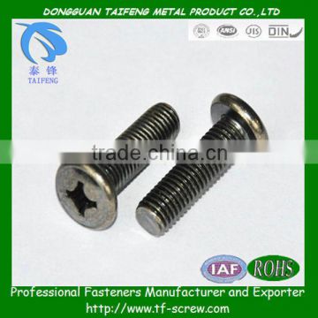 flat head screw with silicon bronze and titanium screw