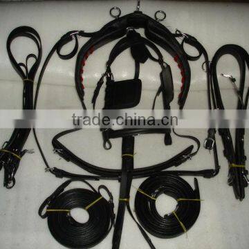 Racing Harness set