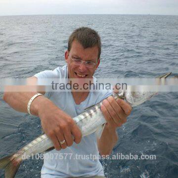 Sports Fishing Line, Fluoro Carbon Fishing Lines[made in Germany ] 300M 0.14-0.80mm photo-6